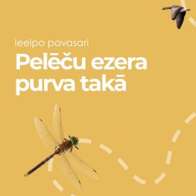 Ieelpo pavasari Pelēču ezera purva takā