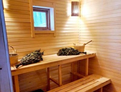 Mini sauna house