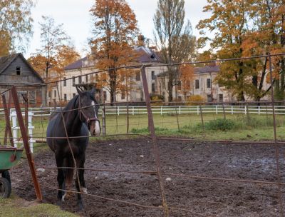Zirgu staļļi Zirgu Oāze