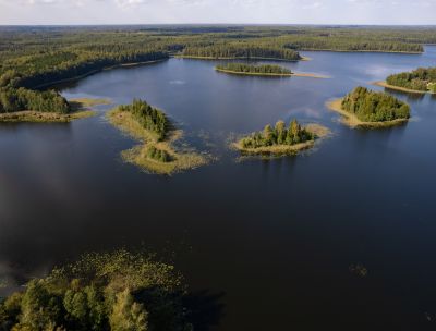 Zolva