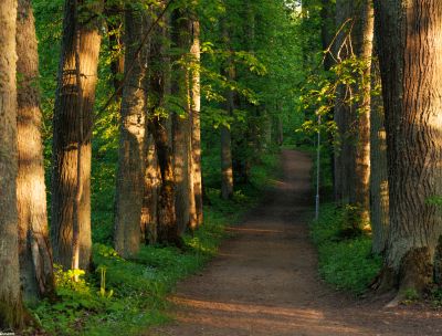 Preiļu muižas komplekss un parks. Preiļu pils