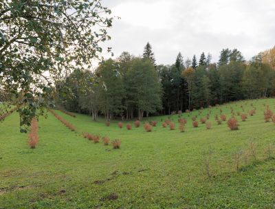 Bioloģiskā zemnieku saimniecība &ldquo;Vilkači&rdquo;