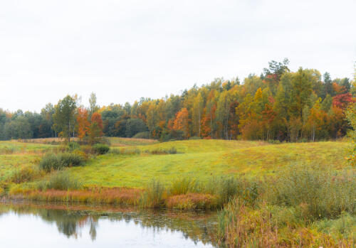 Aktualitātes
