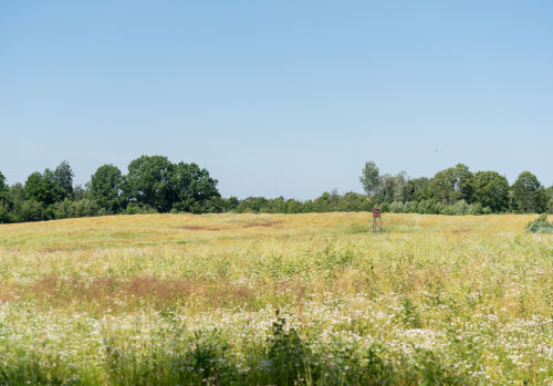 Aktualitātes