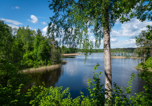 Aktualitātes