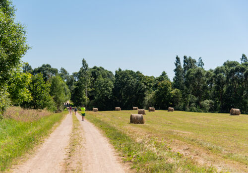 Aktualitātes