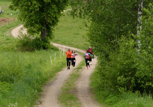 Aktualitātes