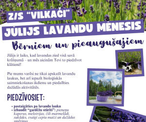 Jūlijs - lavandu mēnesis bioloģiskajā z/s 