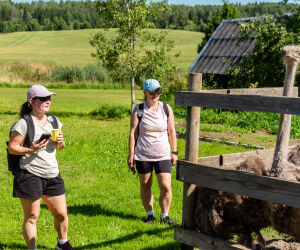 Aizvadīts Latgales pārgājienu dienu Preiļu novada posms
