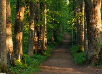 Preiļi Manor Complex and Park with trail of legacy trees