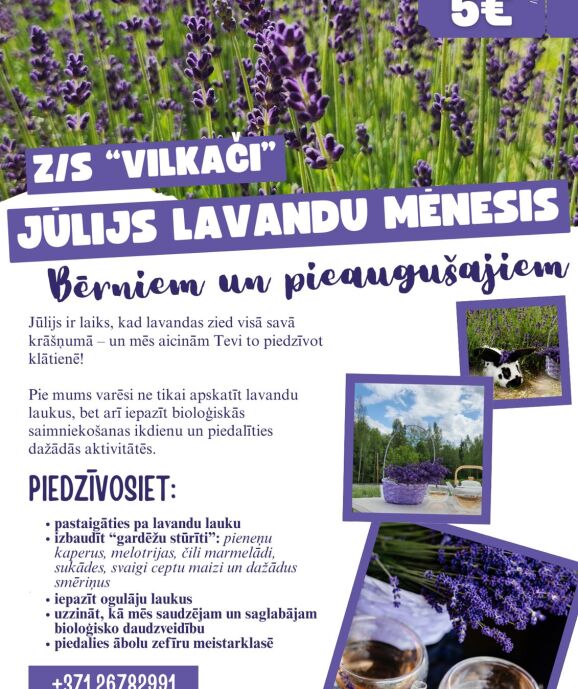 Jūlijs - lavandu mēnesis bioloģiskajā z/s "Vilkači"